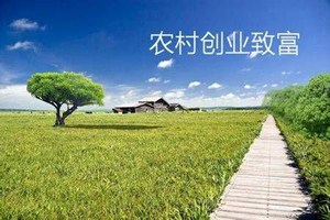 农村创业好项目.jpg