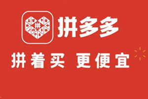 拼多多旗舰店.jpg
