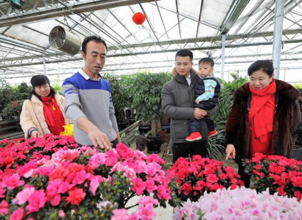 河北一大学生种植花卉，建造“最美后花园”年收入过百万