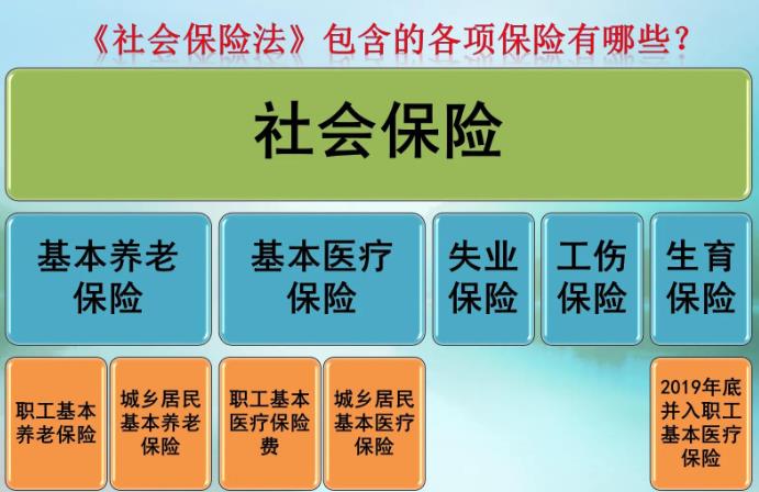 社保缴费分高中低档？1万元缴费基数算什么档次？怎么算养老金？