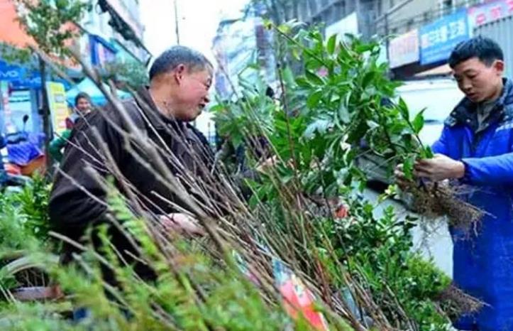 当下农村集市上，这几种小生意，做好了收入都比外出打工强